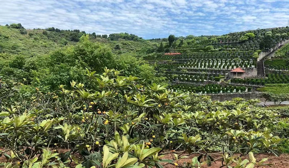 憩园公墓实景